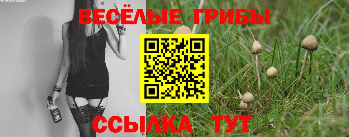 Галлюциногенные грибы Cubensis Октябрьский